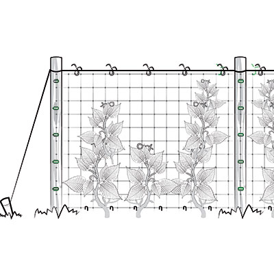 installazione-rete-rampicanti-verticale-2