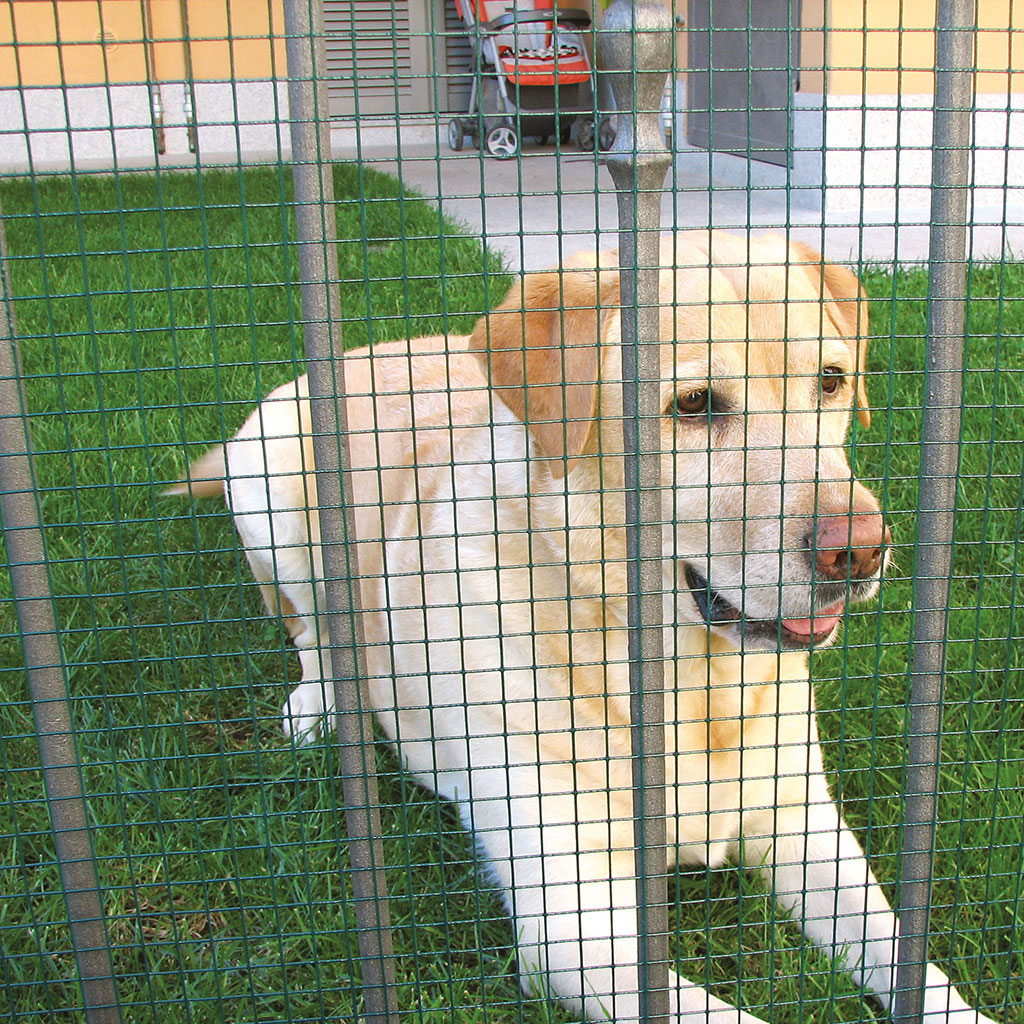 Net made of plastic-coated galvanized wire with square mesh